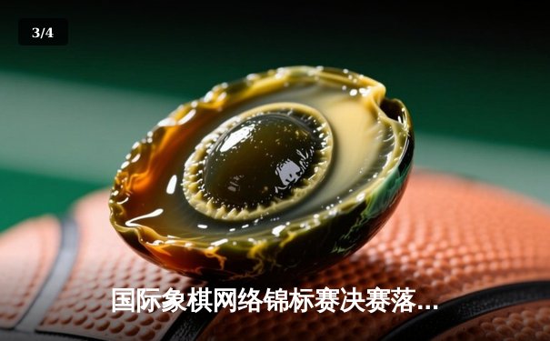 国际象棋网络锦标赛决赛落幕：挪威棋王卡尔森加冕首届云顶杯冠军 - 3
